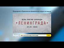 ТОП-5 запросов в поисковой системе Яндекс: 24-31 января