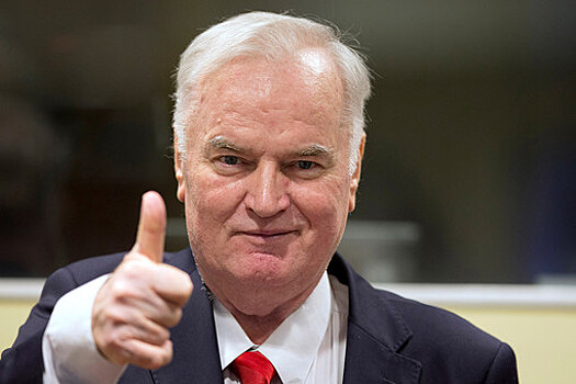 МИД России счел политизированным приговор Младичу