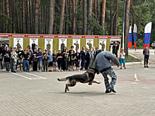 В Липецкой области полицейские и ветераны ведомства познакомили с профессией сотрудника органов внутренних дел воспитанников профильной смены загородного лагеря