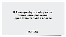 В Екатеринбурге обсудили тенденции развития представительной власти