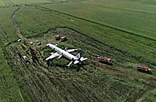 Посадка Airbus в кукурузном поле: как это было