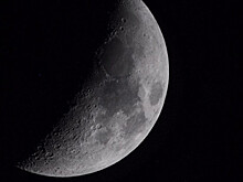 Катастрофа для Холли: Берри снимется в научно-фантастическом триллере «Лунный свет»