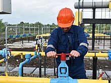Украина предложила свою цену на российский газ