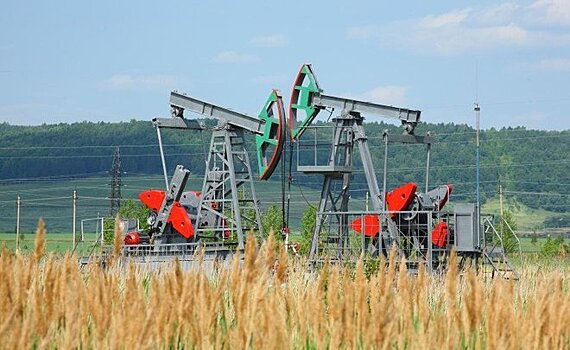 Итоги дня: налоговый вычет нефтяникам, назначения министров Татарстана и запрет на вывоз леса