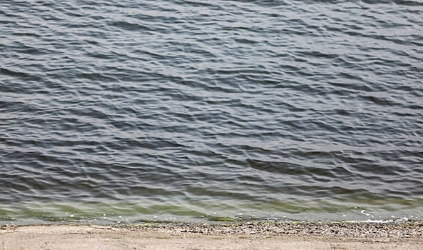 Директора волгоградской компании оштрафовали за ограждение у реки