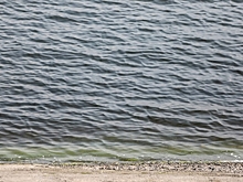 Директора волгоградской компании оштрафовали за ограждение у реки