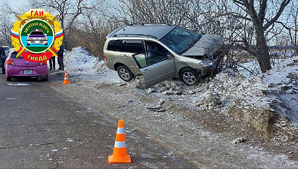 В Благовещенске на ул. Мухина в ДТП погиб мужчина