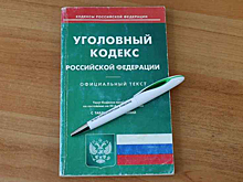 Из Толмачево попытались нелегально вывезти 14,5 млн рублей