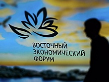 Амурская область планирует подписать на ВЭФ соглашения более чем на 30 млрд рублей
