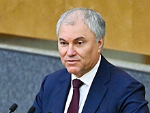 Володин спросил россиян о необходимости полного запрета вейпов