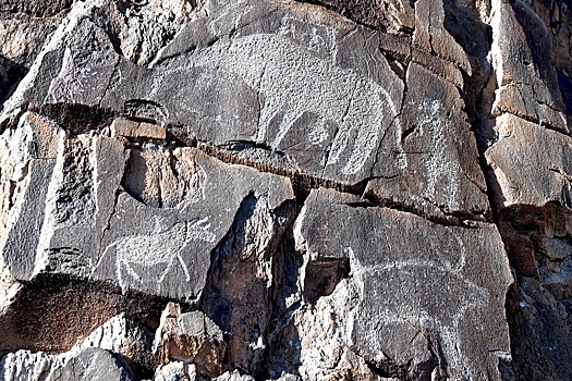 В Сибири выпустили первую в России компьютерную игру по поиску петроглифов