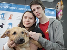 Девять щенков с тяжёлой жизнью нашли хозяев и отправились в новый дом