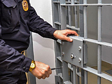 Полицейские задержали юриста ФБК и пришли к нескольким оппозиционерам