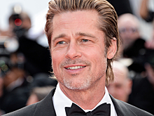 Брэд Питт потратил год на поиски зарытых сокровищ в своём французском поместье