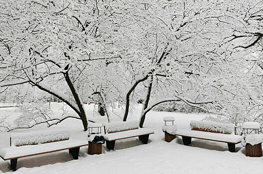 Метеоролог не исключил повторения аномального снегопада в Москве