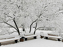Метеоролог не исключил повторения аномального снегопада в Москве