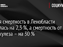 Общая смертность в Ленобласти снизилась на 2,3 %, а смертность от туберкулеза – на 30 %