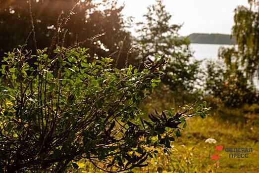 В проект «Чистый воздух» бизнес вложит 459 миллиардов рублей