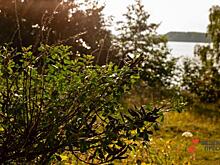 В проект «Чистый воздух» бизнес вложит 459 миллиардов рублей