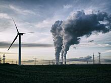 Гостям фестиваля «зеленого» кино «ЭкоЧашка» рассказали о цене глобального потепления