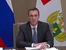 Россия ожидает урожай зерна в 2023 году в объеме 123 млн тонн