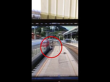 Сила интернета: в Сочи проводника, высадившего женщину из движущегося поезда, признали виновным