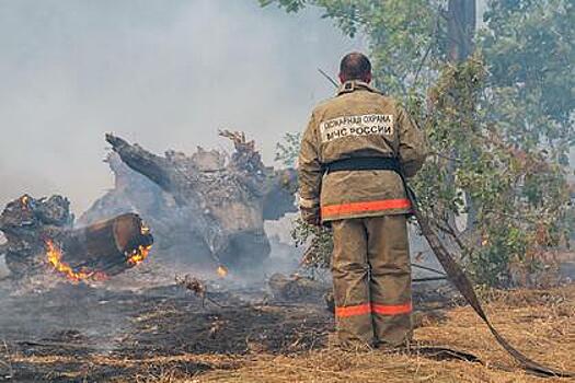 Названы оказавшиеся в зоне риска опасных лесных пожаров регионы России