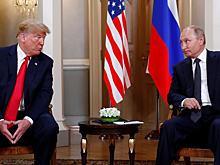 Австрия готова организовать встречу Путина и Трампа