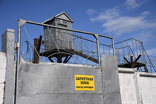 Экс-помощника главы Россельхознадзора осудили на 12 лет за взятку и педофилию