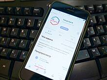 МВД предупредило о мошенническом клоне портала «Госуслуги»