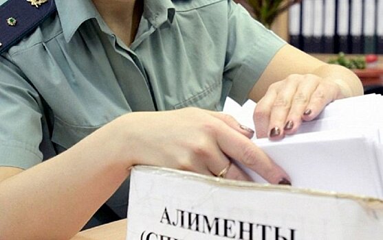 Жителя Петрозаводска наказали за долг по алиментам на 2,2 млн рублей