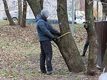 В Щербинках началась подготовка к строительству газопровода в Ольгино с учетом пожеланий горожан
