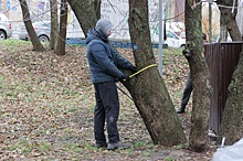 В Щербинках началась подготовка к строительству газопровода в Ольгино с учетом пожеланий горожан