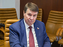 В Совфеде оценили решение Ротару не приезжать в Крым