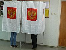 Казаки, безработные и «Единая Россия» столкнулись на выборах главы Нерехты