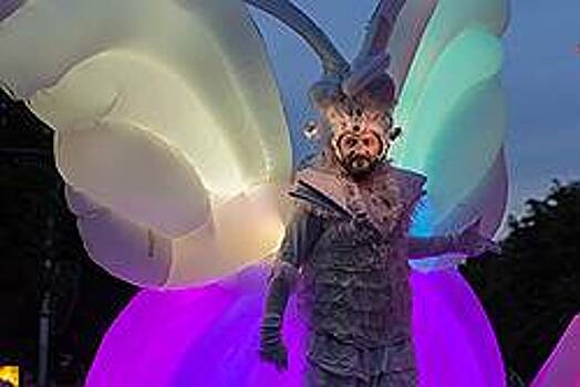 VII Платоновфест растаял в воздухе