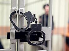 Суд приговорил педофила из Подмосковья к 12 годам колонии строгого режима