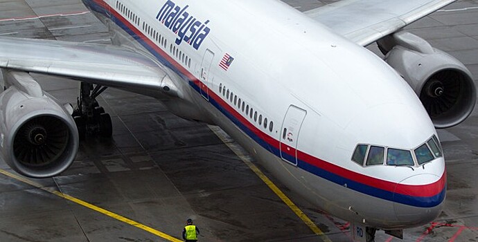 Нидерланды хотят допросить ценного свидетеля по делу сбитого MH17