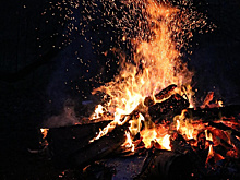 В Приамурье сжигают медицинские отходы рядом с жилыми домами