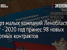 Экспорт малых компаний Ленобласти растет - 2020 год принес 98 новых экспортных контрактов
