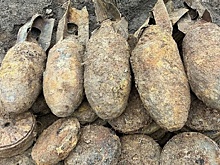 Петербургские спасатели обезвредили восемь авиабомб и более ста мин в Ленобласти