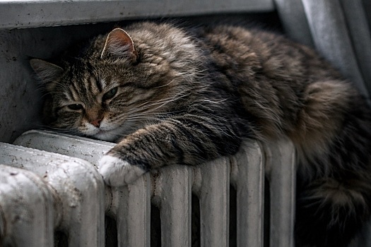 Гладков: около 80 тысяч жителей Белгорода остаются без тепла