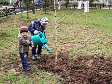 Территорию Центра культуры и спорта «Ватутинки» озеленят
