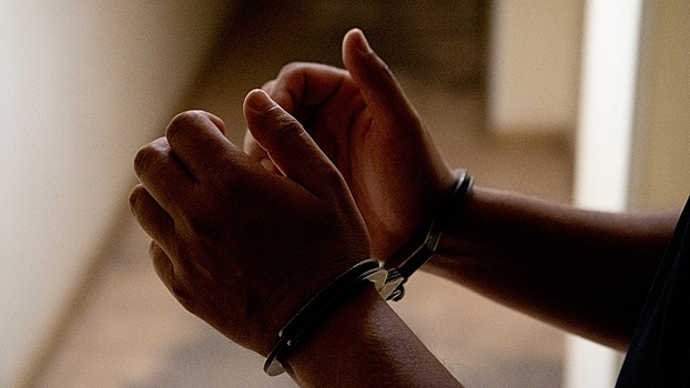 В Нидерландах задержан сириец, планировавший теракт на Рождество