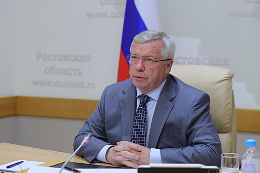 Василий Голубев потребовал ужесточить борьбу с несанкционированной торговлей в Ростовской области
