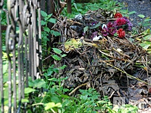 3 млн рублей дополнительно требуется на благоустройство нижегородских кладбищ