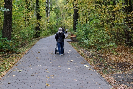 В Красноярске обновят Гвардейский парк: как и когда