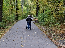 В Красноярске обновят Гвардейский парк: как и когда