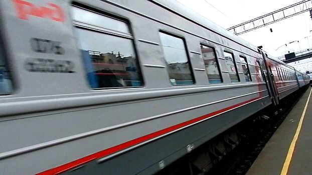 Из саратовского поезда во время движения выпала пассажирка