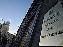 Минэкономразвития поддержало проект эко-кластера "Леопарды на Гамова"